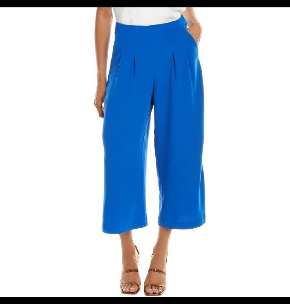 New Ted Baker Zetta blue pleated wide leg trouser culotte pants size 4 Preppy